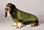 Chilly Dog Cable Knit 2