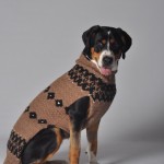 Chilly Dog Cable Knit 3