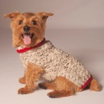 Chilly Dog Cable Knit